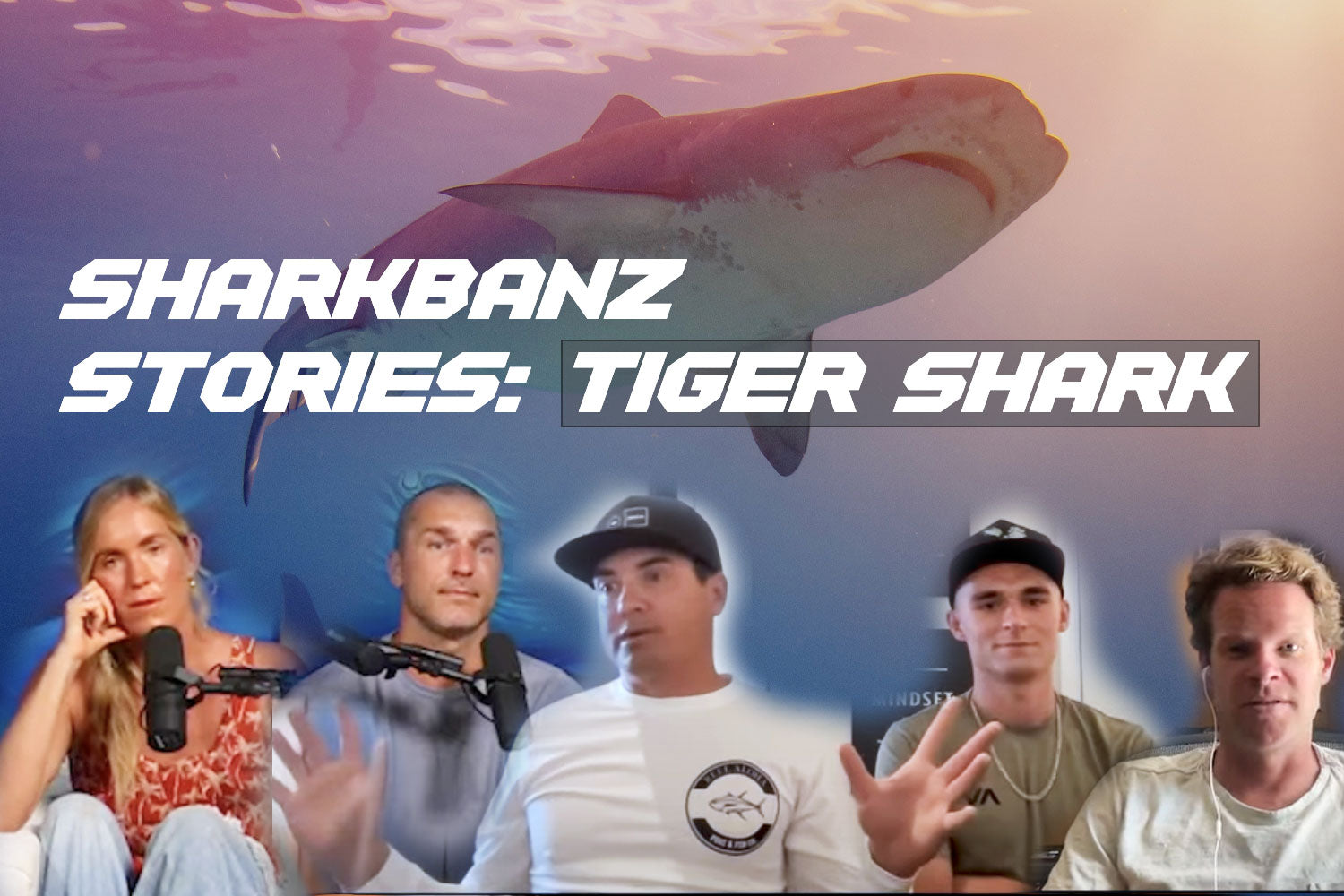 Sharkbanz Deters 14 ft. Tiger Shark - Spearfishermen Detail Encounter