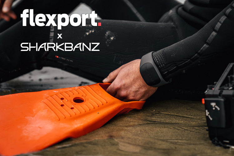 Flexport Recognizes Sharkbanz as Shark Repellent Technology Leader