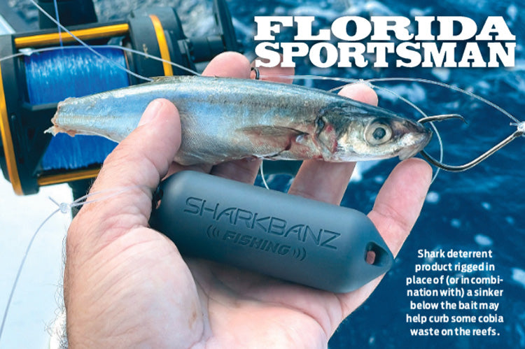 Florida Sportsman Praises Sharkbanz For Potential to Help Cobia