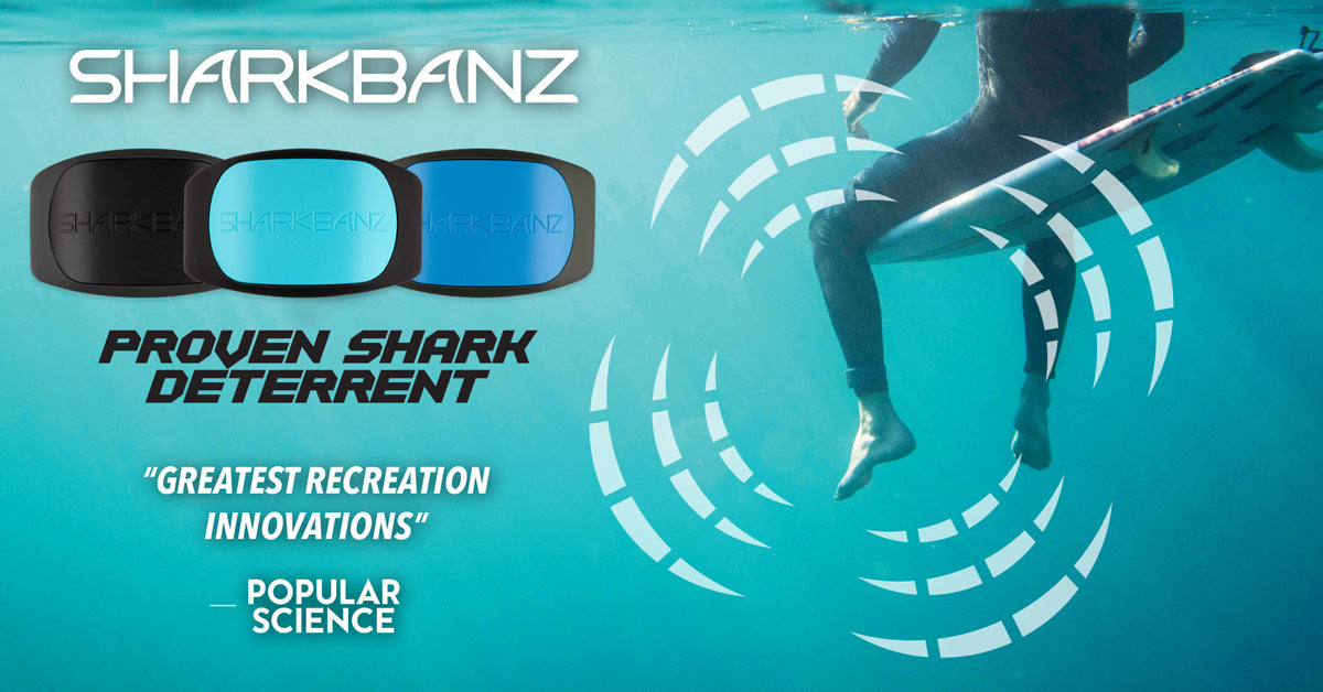 www.sharkbanz.com
