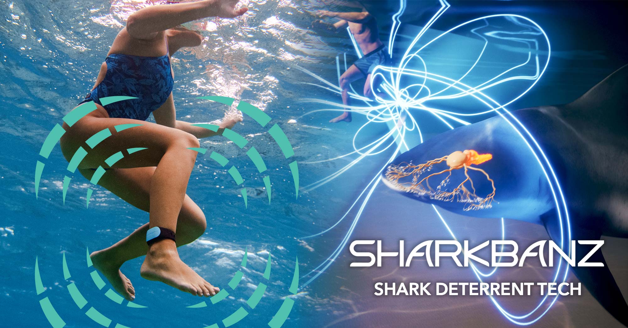 Sharkbanz Technology