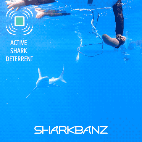 Sharkbanz 2 – Wearable Shark Deterrent