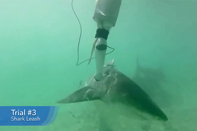 Sharkbanz Releases New Testing Data and Video Footage