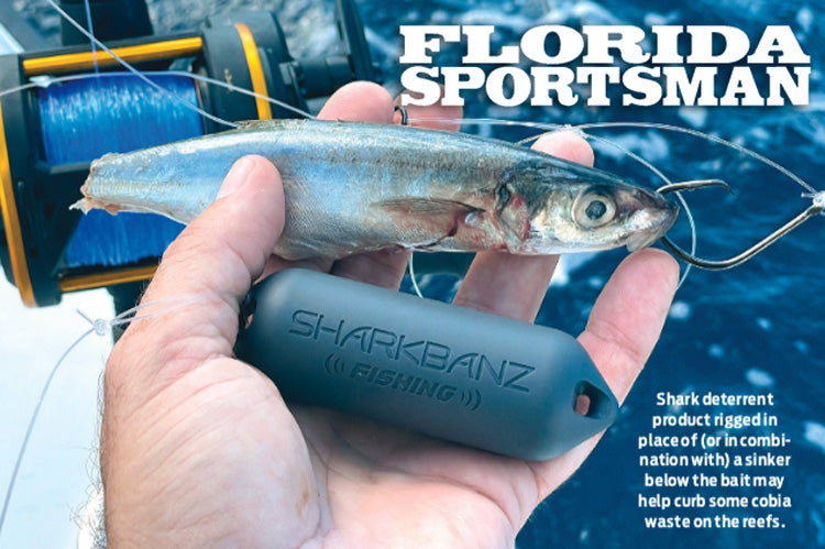 Florida Sportsman Praises Sharkbanz For Potential to Help Cobia Fish ...