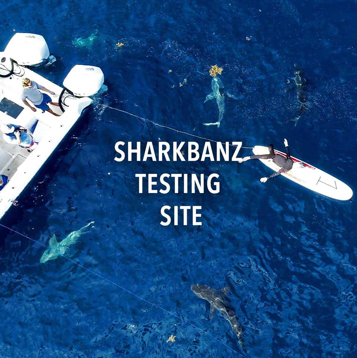 Sharkbanz - Product Care