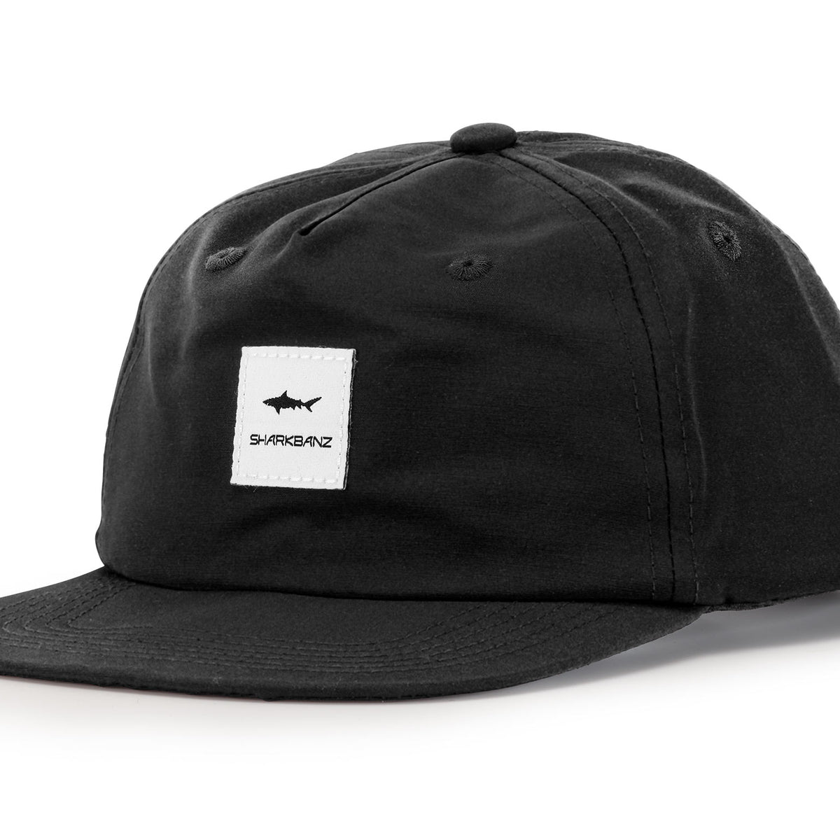 The BONEZ 10th Anniversary cap 黒 着用】 10th Anniversary Flat Visor cap PRICE : ¥5.800-(in tax