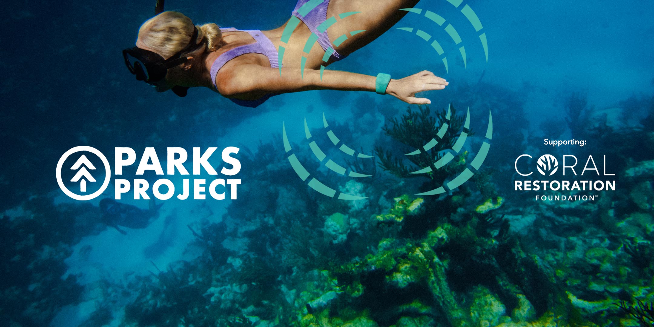 Sharkbanz – Proven Shark Deterrent Technology
