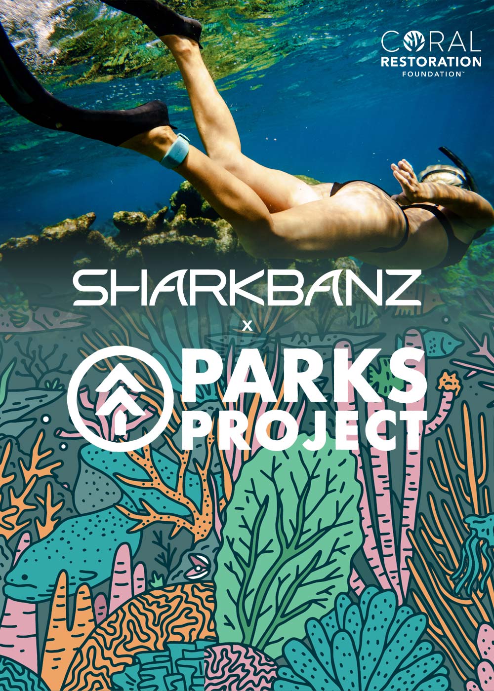 Sharkbanz – Proven Shark Deterrent Technology