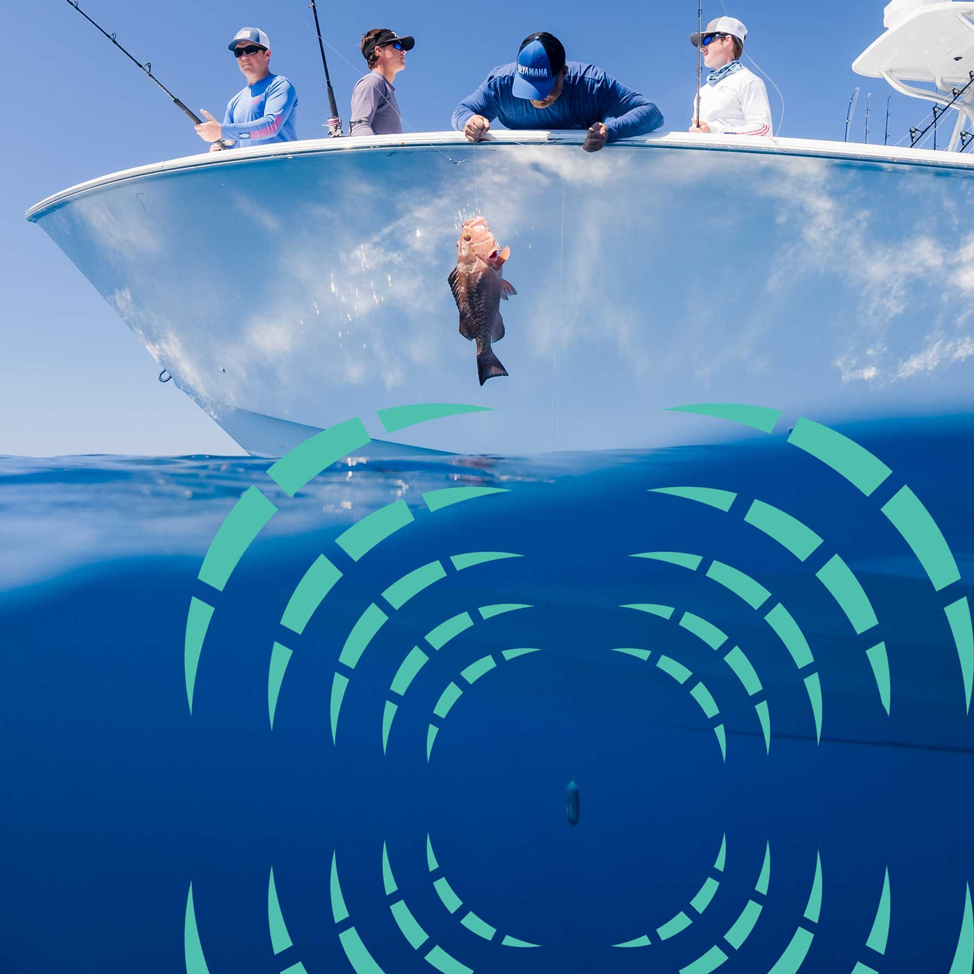 Sharkbanz Fishing - Rigging Instructions & Product Use