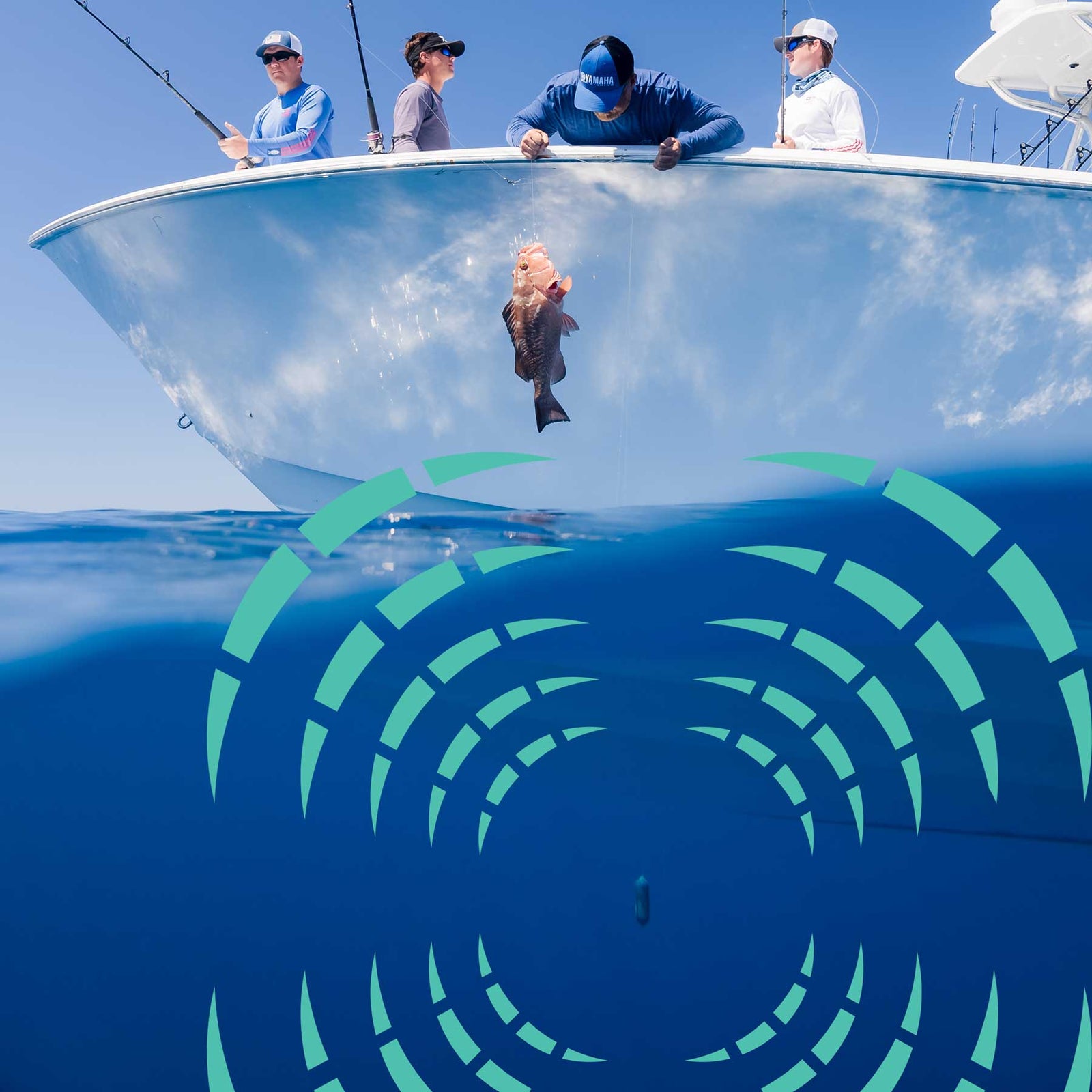 Sharkbanz Fishing - Rigging Instructions & Product Use