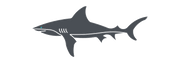Shark species icon