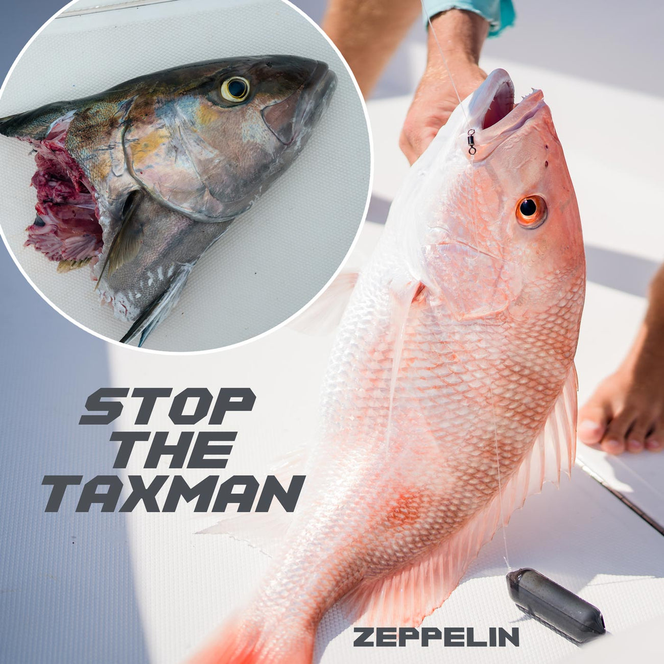 Sharkbanz Fishing - Zeppelin - Shark Deterrent Tackle